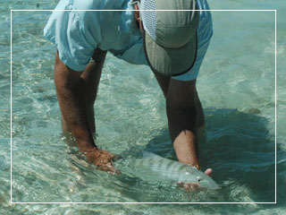 Florida Keys bonefish