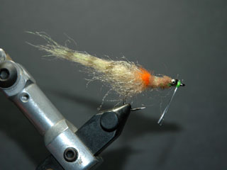 Bonefish fly pattern for Florida Keys fishing