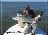 Captain Alex Boehm