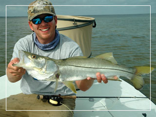 Florida Bay and the Everglades have a high population of snook. Casting under overhanging mangroves is a lot is the best way to fish for snook